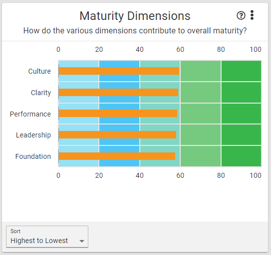 maturity_dimensions_no_benchmark.PNG