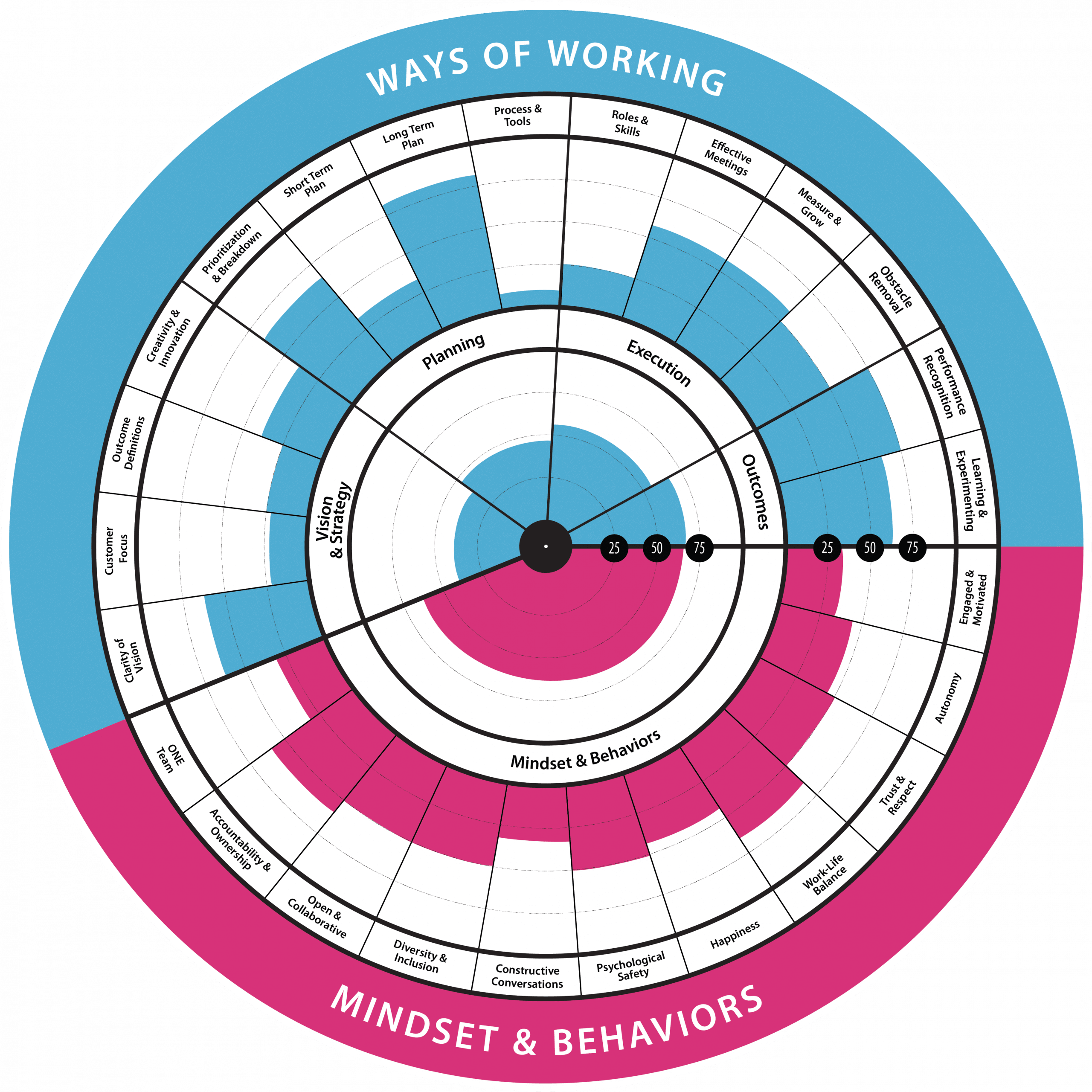 Team-Culture-radar.png