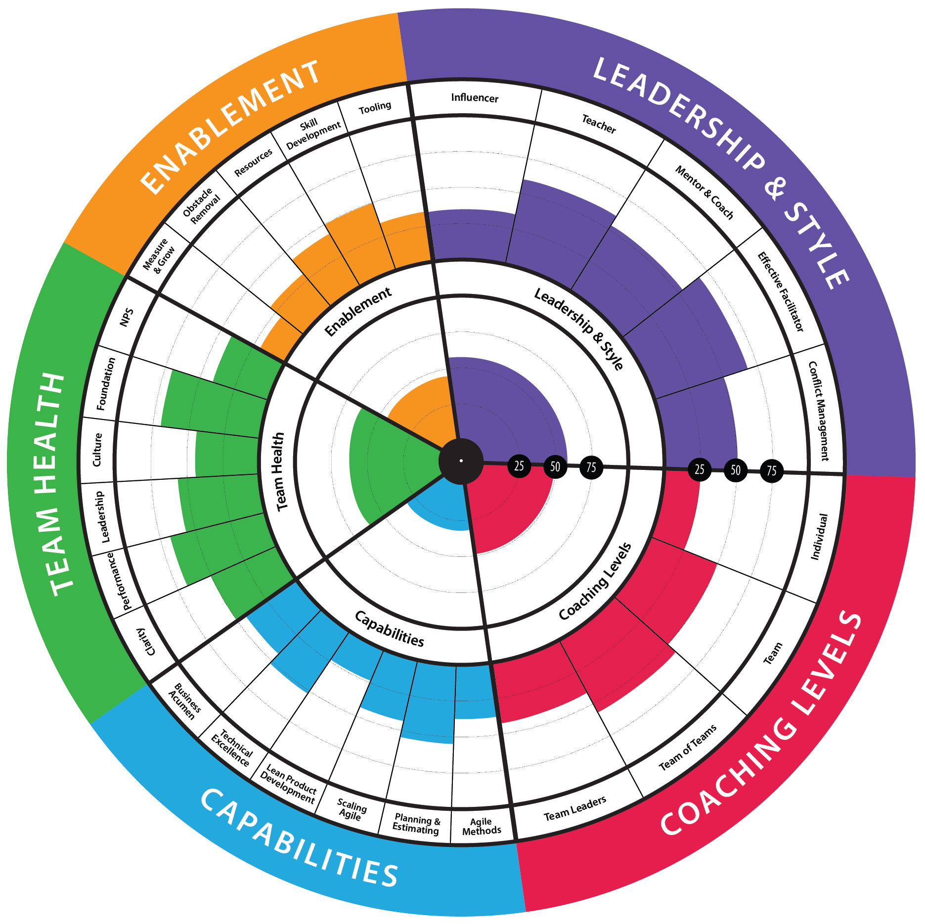 Agile_Team_Coach_-_Web.png